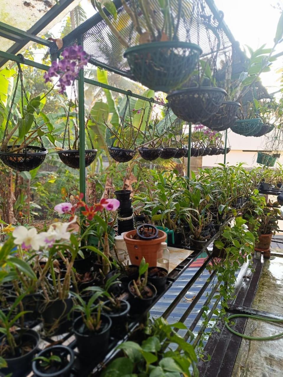 Chaithritha Ladies Homestay Thiruvananthapuram Eksteriør bilde